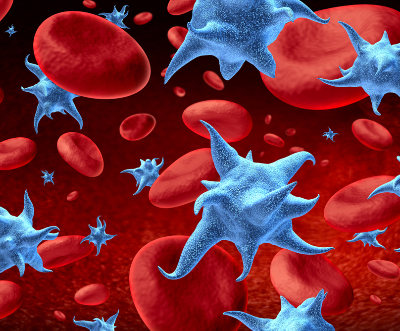 Αιμοπετάλια: Τα μικρότερα κύτταρα του αίματος είναι και «μικρότερης αξίας» ;