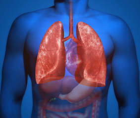 Διαθωρακικό υπερηχογράφημα πνευμόνων: μια πολύτιμη διαγνωστική εξέταση χωρίς καθόλου ακτινοβολία